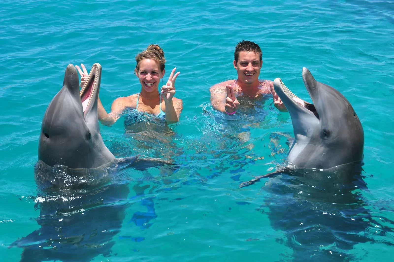 Dolphin Academy