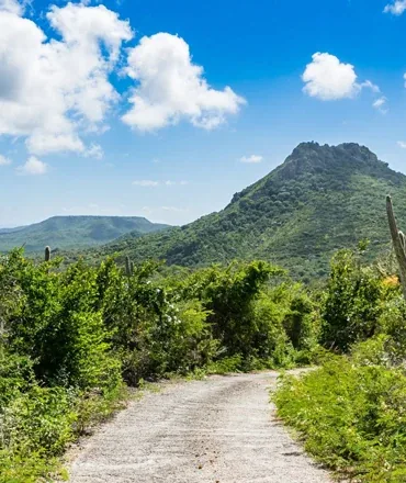 Das grüne Herz der Insel